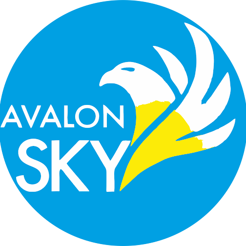 AVALONSKY.SHOP